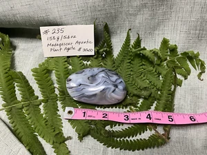 Madagascar Agate, 158g/5.6oz, #235 - Picture 1 of 7