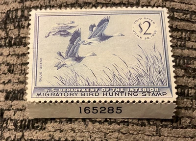 Estampilla federal de caza de pato RW22 - 1955 $2 gansos azules MNH OG Foto 1 de 2