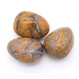 Timor Tiger Jasper 3x Tumbled Stones 25x35mm - Picture 1 of 2