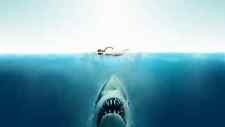 Large A3 Jaws Poster (Brand New)