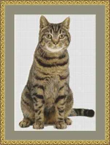 Tabby Katze Kreuzstich Set - Bild 1 von 2