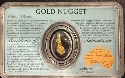 Large 3 Grams Beautiful Australian Gold Nugget / COA Perth Mint and Holder - Image 1 of 4