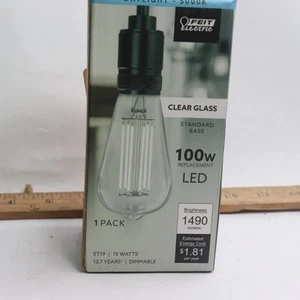 Feit Dimmable LED Light Bulb Filament Clear Daylight ST19 E26 5000K 100W 120V - Picture 1 of 4