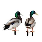 2pcs Acrylic Duck Garden Stakes Ornaments Outdoor Sculpture Lawn Yard Decoration