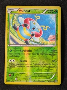 Volbeat 17/160 - XY Primal Clash Reverse Holo MP Pokemon TCG - Picture 1 of 2