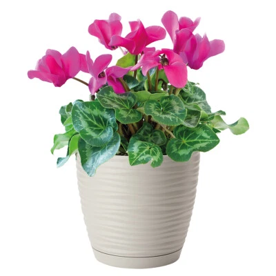 Übertopf Wellen Slim Rund Blumentopf mit Untersetzer 3D Effekt 7 Größen in Grau - Bild 1 von 4