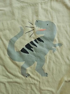 NWT HANNA ANDERSSON DINO GREEN RELAXED FIT GRAPHIC TEE SHIRT 130 8 - Picture 1 of 4
