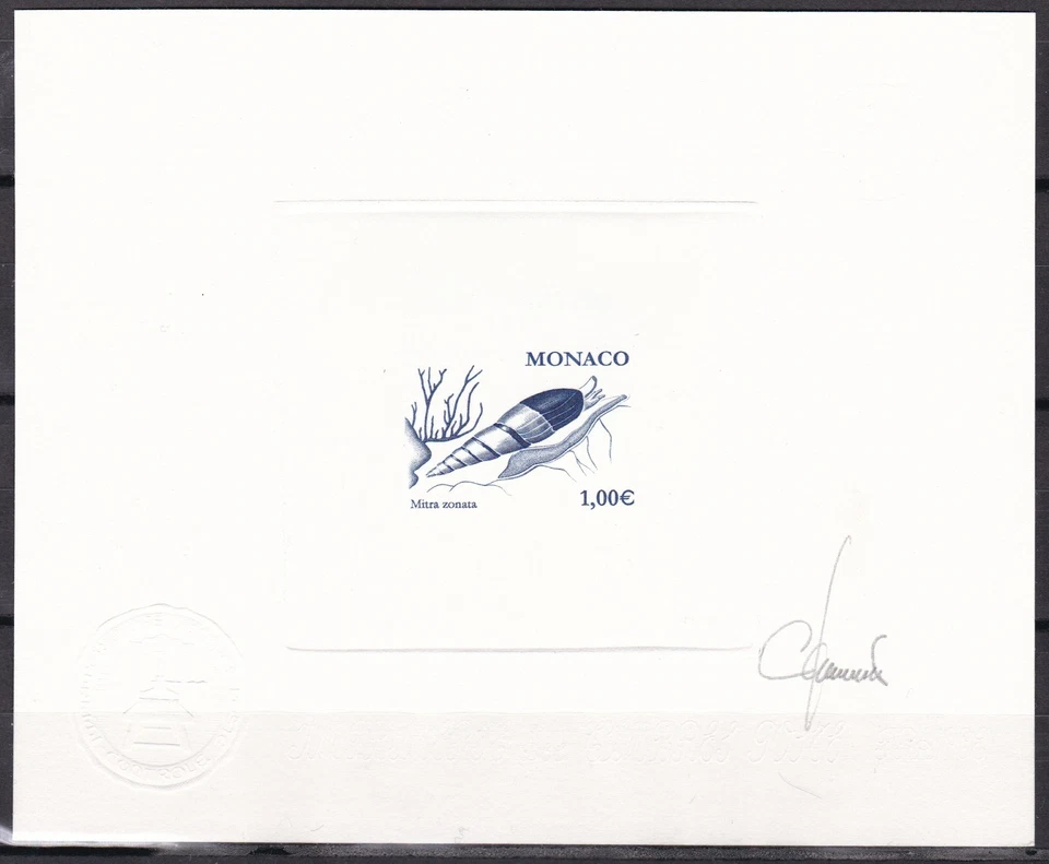 Caracol de mar Monaco Sc2231, concha marina, vida marina, Mitra Zonata, firmado a prueba de troquel Foto 1 de 1