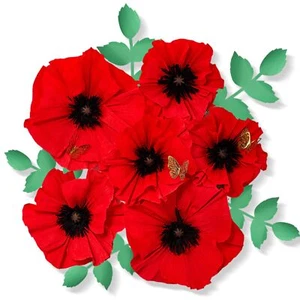 16 Pcs Large Paper Flowers Decorations for Wall Red Floral Birthday Party Wal... - Picture 1 of 6