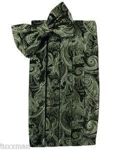 NEW Men's Cardi Fern Green Paisley Tuxedo Cummerbund Bow tie Hankie.TUXXMAN - Bild 1 von 2