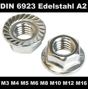 Sperrzahnmuttern Edelstahl A2 DIN 6923 M3 M4 M5 M6 M8 M10 M12 M16 Flanschmuttern - Bild 1 von 4