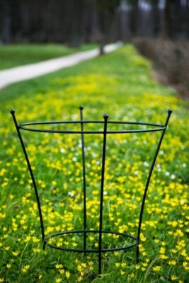 KUHEIGA Staudenhalter Schwarz H: 60cm - Lieferung im Stück Strauchhalter Rankgerüst