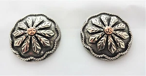 Par de conchos antiguos Sunrise placas de plata Hansen Western Gear tornillos dorsos caballo - Imagen 1 de 3