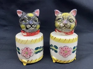 Vintage Cat in Floral Flower Container Salt And Pepper Shakers Cottage Core - Picture 1 of 5