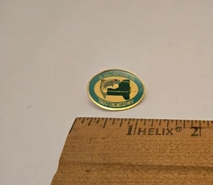 Trout Unlimited Chapter #031 AL HAZZARD Binghamton NY Pin Lapel Hat Fishing - Picture 1 of 3