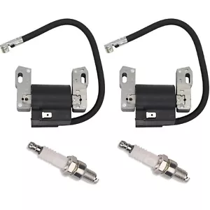 2x Bobina accensione adatta per Briggs & Stratton 406777 407577 407677 407777 445777 - Foto 1 di 6