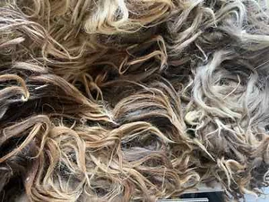 9lbs PREMIUM Brown Navajo Churro Sheep Wool Fiber Fleece spinning doll prim lock - Picture 1 of 14