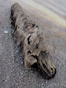 Madera a la deriva "Espada vikinga", pantalla realmente impresionante inalterada ENVÍO GRATUITO - Imagen 1 de 7