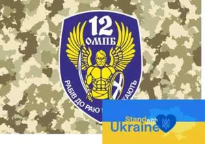 FLAG BANNER UKRAINE WAR 2022 - Battalion 12 Kyiv Kiev (#9) - Picture 1 of 1