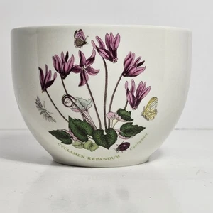 Portmeirion Botanic Garden "Cyclamen" Chili Bowl 1982 Back Stamp Vintage - Bild 1 von 7