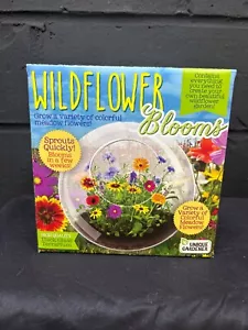 Wilflowers Glas Terrarium - Bild 1 von 4