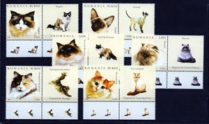 ROMANIA serie completa año 2006 con viñeta yvert nr. 5055/60 nueva gatos - Imagen 1 de 1