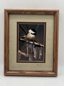 Chickadee On A Branch Original Photography Wooden Framed Signed Greg Ledermann - Picture 1 of 10