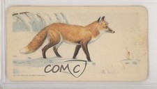 1962 Brooke Bond Rose Animals of North America Series 2 Tea Red Fox #12 0t5