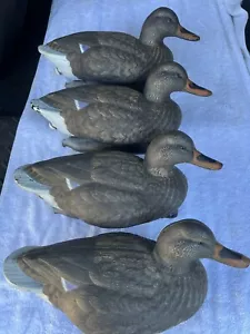 4 Flambeau Fishing Hunting Decoy Plastic Duck Decoys - Picture 1 of 2