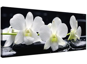 Black White Cheap Canvas Art of White Lily Flowers 1051 - Picture 1 of 4