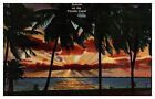 Florida Sunrise Postcard, Miami Beach, Solider Mail, Buy War Bonds Postmark, 1H