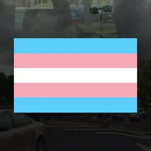Bandiera transgender - simbolo orgoglio supporto diritti LGBT - decalcomania vinile colore vibrante - Foto 1 di 2