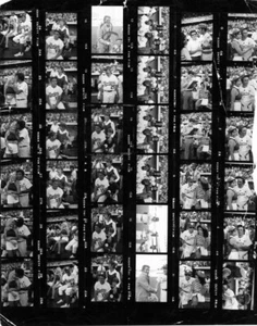 Kontakt Foto Blatt Negative ANNETTE FUNICELLO 5. DIMENSION MARILYN MCCOO DEAN - Bild 1 von 1