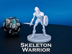 Skeleton Warrior with Sword and Shield Miniature for D&D, Dungeons and Dragons, - Picture 1 of 5