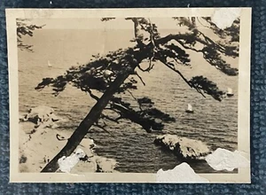 Antique sepia Japanese photograph, Seaside Scene, 3” X 2”. Damaged (Green) - Picture 1 of 1