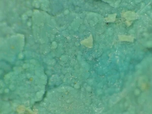 MCGUINNESSITE aus der Steiermark, Österreich *SELTENES KARBONATMINERAL * 3,2 cm - Bild 1 von 3