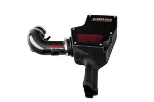 Corsa 18-22 Ford Mustang GT 5.0L V8 Carbon Fiber Air Intake W/ DryTech 3D - Foto 1 di 3