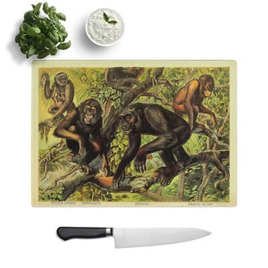 Vintage Monkeys Chopping Board Glass Textured Cutting Worktop Saver Kitchen - Picture 1 of 6