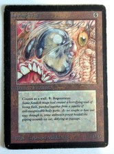 Living Wall (#2) HP Beta MTG Magic the Gathering