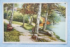 Along Echo Lake  - Franconia Notch - White Mts, New Hampshire - Picture 1 of 2