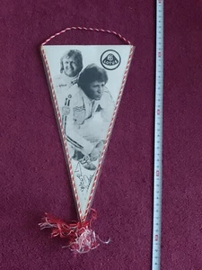 Old Motorsport Pennant: Formula 1 TEAM LOTUS - Mario Andretti, Ronnie Peterson - Picture 1 of 2