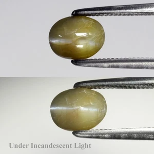💎 1.42ct Oval Natural Yellowish Green Cat's Eye Chrysoberyl - Sri Lanka Gem - Picture 1 of 6