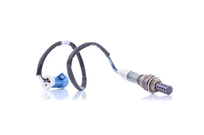 DENSO DOX-1371 Sonde lambda pour FORD Fiesta Mk5 Schrägheck (JH1, JD1, JH3, JD3) - Photo 1/4