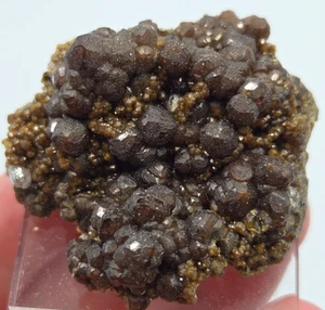 +++ ANDRADITE GARNET EL MOCHITO MINE, SANTA BARBERA DEPARTMENT, HONDURAS +++ - Picture 1 of 8