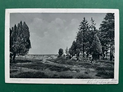 AK Lüneburger Heide Landschaft bei Lutterloh 1927 #1618 - Bild 1 von 2