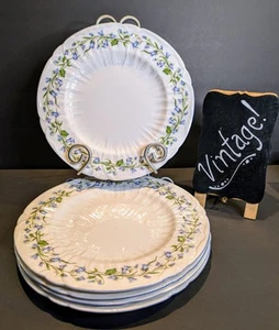 Set (5) piatti Shelley Harebell #13590 ~ stoviglie Fine Bone China ~ Inghilterra - Foto 1 di 8