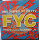 7" Singel, Fine Young Cannibals, She Drive me Crazy,FFRR Records, 1988, VG++