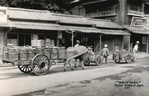 Vintage Postcard Back to the Soil Typical Scene of Japan Ox Pulling Carts - Picture 1 of 2