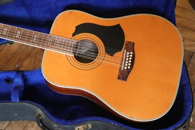 Guitare acoustique 12 cordes Eko El Dorado années 80 super rare 1984 + configuration luthier - Photo 1/4