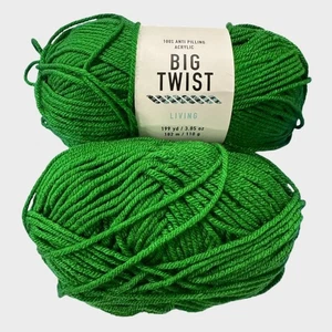 Hilo verde Big Twist Kelly 2 madejas antipilling acrílico 3,8 oz 199 yardas - Imagen 1 de 6